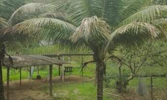 Imagem 5: Casa em Saquarema, RJ - Terreno de 25.000 metros