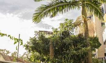 Imagem 2: PORTO ALEGRE - Casa Padrão - Floresta