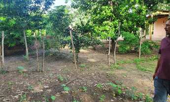 Imagem 5: Sítio na Estrada do Arajara