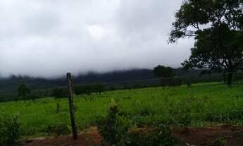 Imagem 4: Fazenda 370 Alqueires 67 Km de Formosa