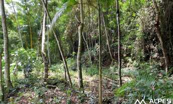 Imagem 4: Lote/Terreno para venda tem 2000 metros quadrados em Serrinha - Teresópolis - RJ