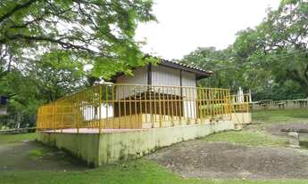 Imagem 5: Sitio para venda em Aparecidinha