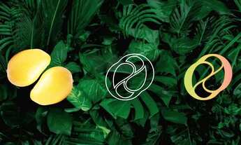 Imagem 5: Breve Lançamento!!! Centro de Jacareí - OPORTUNIDADE - 2 e 3 dormitórios - com suíte