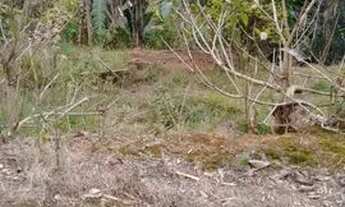 Imagem 3: Lote Centro Guarará Minas Gerais