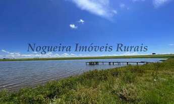 Imagem 7: Fazenda em Avaré, área com 65 alqueires, belas represas (Nogueira Imóveis Rurais