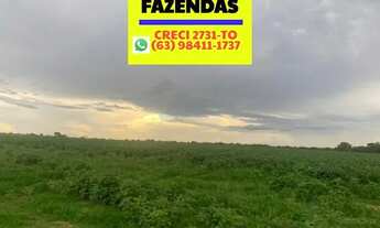Imagem 3: Fazenda em Formoso do Araguaia lavoura
