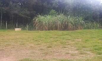 Imagem 2: Chácara formada, 12mil metros quadrados