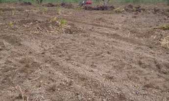 Imagem 5: Fazenda/Sítio/Chácara para venda com 566 metros quadrados em s - Santa Rita do Tocantins