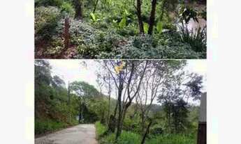 Imagem 3: Terreno para venda possui 10000 metros quadrados em Graminha - Juiz de Fora - MG