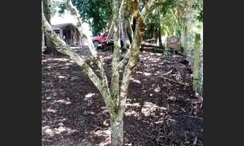 Imagem 4: Velleda oferece belíssimo sítio 4000m², com casa e galpão, na Águas Claras