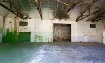 Imagem 3: São Paulo - Galpão/Depósito/Armazém - Vila Sônia