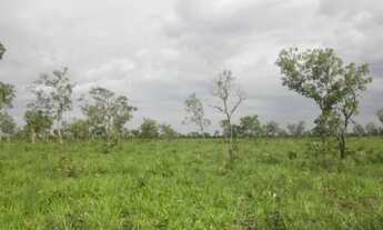 Imagem 6: FAZENDA NEGOCIO DE OPORTUNIDADE!!!