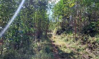 Imagem 7: Terreno 1000 metros para sitio em Igarata