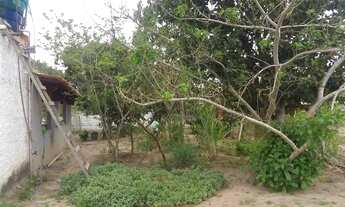 Imagem 4: Sítio situado na Matinha