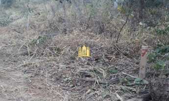 Imagem 5: Fazendinha em Esmeraldas