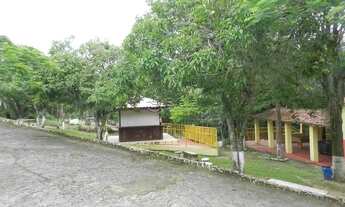 Imagem 2: Sitio para venda em Aparecidinha