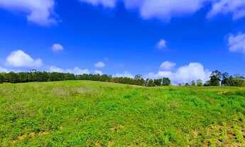 Imagem 3: 03cn-1L48DU0 Terreno / lote com venda por R$60.000