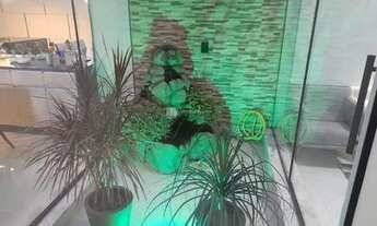 Imagem 6: TR - Casa de condomínio térrea para aluguel com 180 metros quadrados com 3 quartos