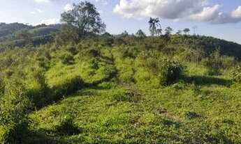 Imagem 3: Lote/Terreno para venda com 500 metros quadrados em Centro - Santa Isabel - SP