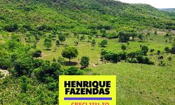 Imagem: Fazenda entre Palmas e Paraíso no Tocantins