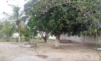 Imagem 3: Sítio situado na Matinha