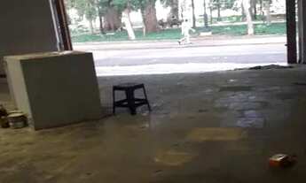 Imagem 7: SALAO COMERCIAL em RIBEIRÃO PRETO - SP, CENTRO