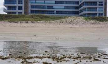 Imagem 4: Apartamento para aluguel tem 227 metros quadrados com 4 quartos em Intermares - Cabedelo