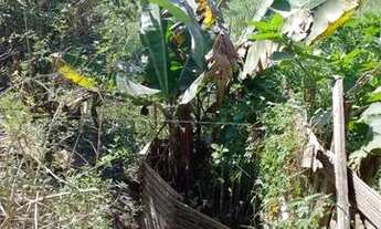 Imagem 3: Vendo casa 3 quartos, sala, banheiro, cozinha e quintal