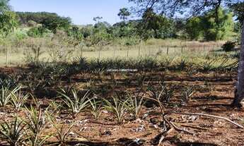 Imagem 6: CAMPO GRANDE - Sítio - Vila Moreninha III