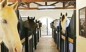 Imagem 4: Fazenda com Haras