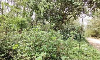 Imagem 6: Terreno à venda, 1440 m² por R$ 289.990,00 - Jardim Santa Paula - Cotia/SP