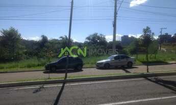 Imagem 3: Estância Velha - Terreno Padrão - Floresta