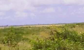 Imagem 5: Repasse de terrenos são 2 lotes medindo cada 10 por 20