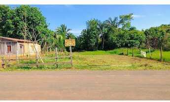 Imagem 4: Vendo dois terrenos na BR 319 km22 e outro na estrada de autazes km02