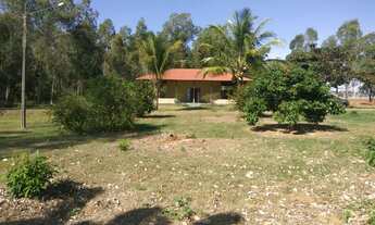 Imagem 3: Rio Paranapanema vendo ou alugo - rancho chácara sítio em Terra Rica