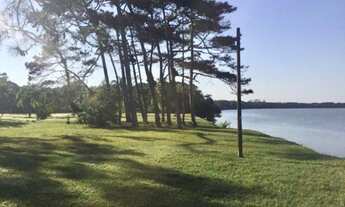 Imagem 2: Fazenda para venda com 8342 metros quadrados em Iguape - Iguape - SP