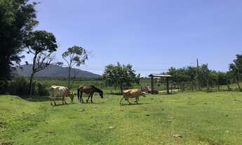 Imagem: Sítio com terreno de 62.263,37m² - Pântano