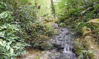 Imagem 2: Chácara à venda, 120000 m² por R$ 1.500.000 - Areia Branca dos Assis - Mandirituba/PR