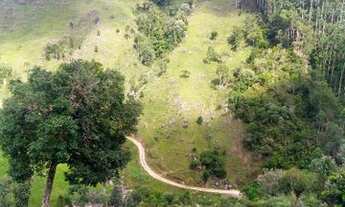 Imagem 11: Fazenda/Sítio/Chácara para venda com 62.500 metros quadrados em Garcia - Angelina - SC
