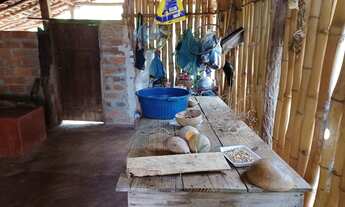 Imagem 4: Chácara 5.000mt/casinha/rancho com fogão caipira/pomar/corrego/energia e poço