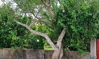 Imagem 7: CASAFLORIANÓPOLIS