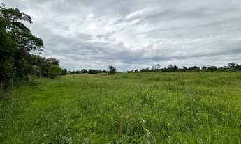 Imagem 6: Vendo sítio 3.8 alqueires(3km da cidade, beira da pista