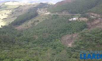 Imagem 4: AREA - MORADA DOS PÁSSAROS - MG