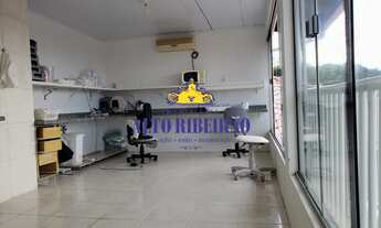 Imagem 6: RIBEIRÃO DA ILHA