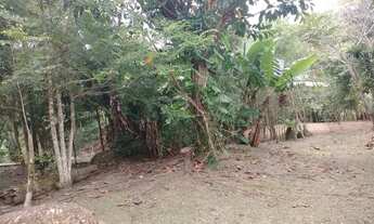 Imagem 2: Chácara com piscina