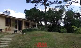 Imagem 3: Chácara Colônia Muricy venda ou permuta