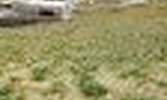 Imagem 2: Lote a venda no condomínio Gran Park Toscana em Vespasiano