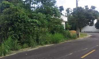 Imagem 4: Lote/Terreno para venda possui 250 metros quadrados em Tarumã - Manaus - Amazonas...