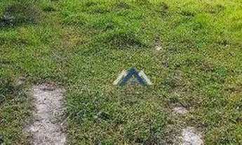 Imagem 2: Fazenda à venda, 102 alqueires por R$ 9.000.000 - Tereza Cristina - Candido de Abreu/PR