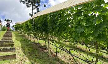 Imagem 5: Quot;Invista em um pedacinho do paraíso em Campos do Jordão!